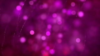 4K Motion Graphics, Stock Video, Stock Footage, Video Clip, Motion Graphics