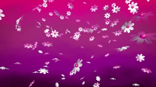 HD Motion Graphics, Stock Video, Stock Footage, Video Clip, Motion Graphics