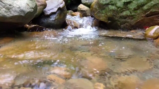 HD Stock Footage, Stock Video, Stock Footage, Video Clip, Motion Graphics