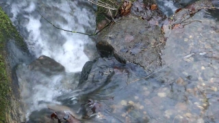 HD Stock Footage, Stock Video, Stock Footage, Video Clip, Motion Graphics