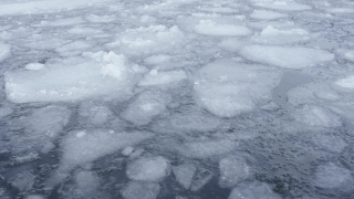 HD Stock Footage, Stock Video, Stock Footage, Video Clip, Motion Graphics