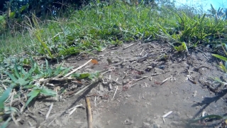 HD Stock Footage, Stock Video, Stock Footage, Video Clip, Motion Graphics