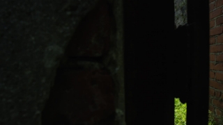 HD Stock Footage, Stock Video, Stock Footage, Video Clip, Motion Graphics