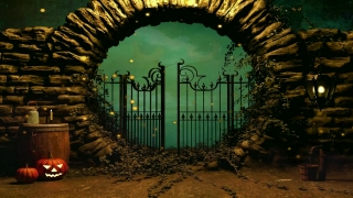 HD Stock Footage, Stock Video, Stock Footage, Video Clip, Motion Graphics