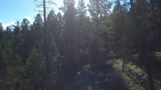 HD Stock Footage, Stock Video, Stock Footage, Video Clip, Motion Graphics