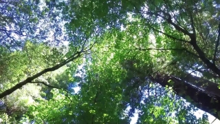 HD Stock Footage, Stock Video, Stock Footage, Video Clip, Motion Graphics