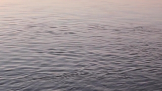 HD Stock Footage, Stock Video, Stock Footage, Video Clip, Motion Graphics