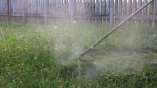 HD Stock Footage, Stock Video, Stock Footage, Video Clip, Motion Graphics