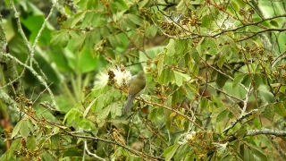 HD Stock Footage, Stock Video, Stock Footage, Video Clip, Motion Graphics