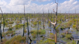 HD Stock Footage, Stock Video, Stock Footage, Video Clip, Motion Graphics