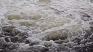 HD Stock Footage, Stock Video, Stock Footage, Video Clip, Motion Graphics