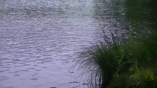 HD Stock Footage, Stock Video, Stock Footage, Video Clip, Motion Graphics