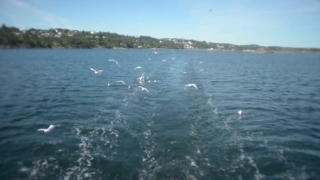 HD Stock Footage, Stock Video, Stock Footage, Video Clip, Motion Graphics