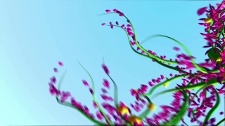 4K Motion Graphics, Stock Video, Stock Footage, Video Clip, Motion Graphics