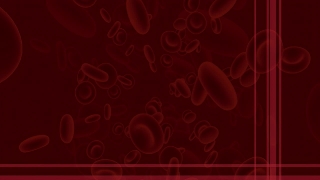 Free Motion Graphics, Stock Video, Stock Footage, Video Clip, Motion Graphics