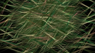 Visual Effects, Stock Video, Stock Footage, Video Clip, Motion Graphics