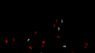 Visual Effects, Stock Video, Stock Footage, Video Clip, Motion Graphics